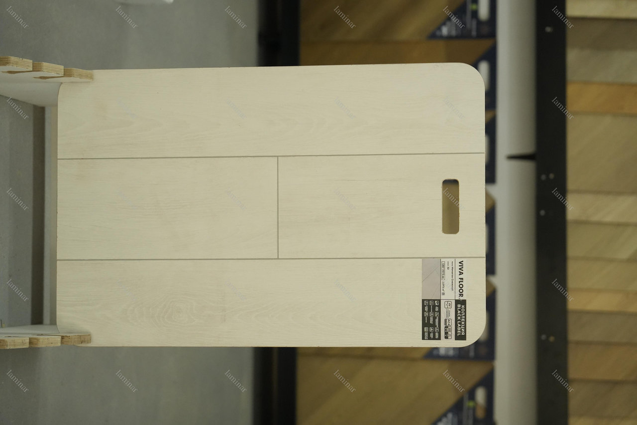 Мичиган Снежный